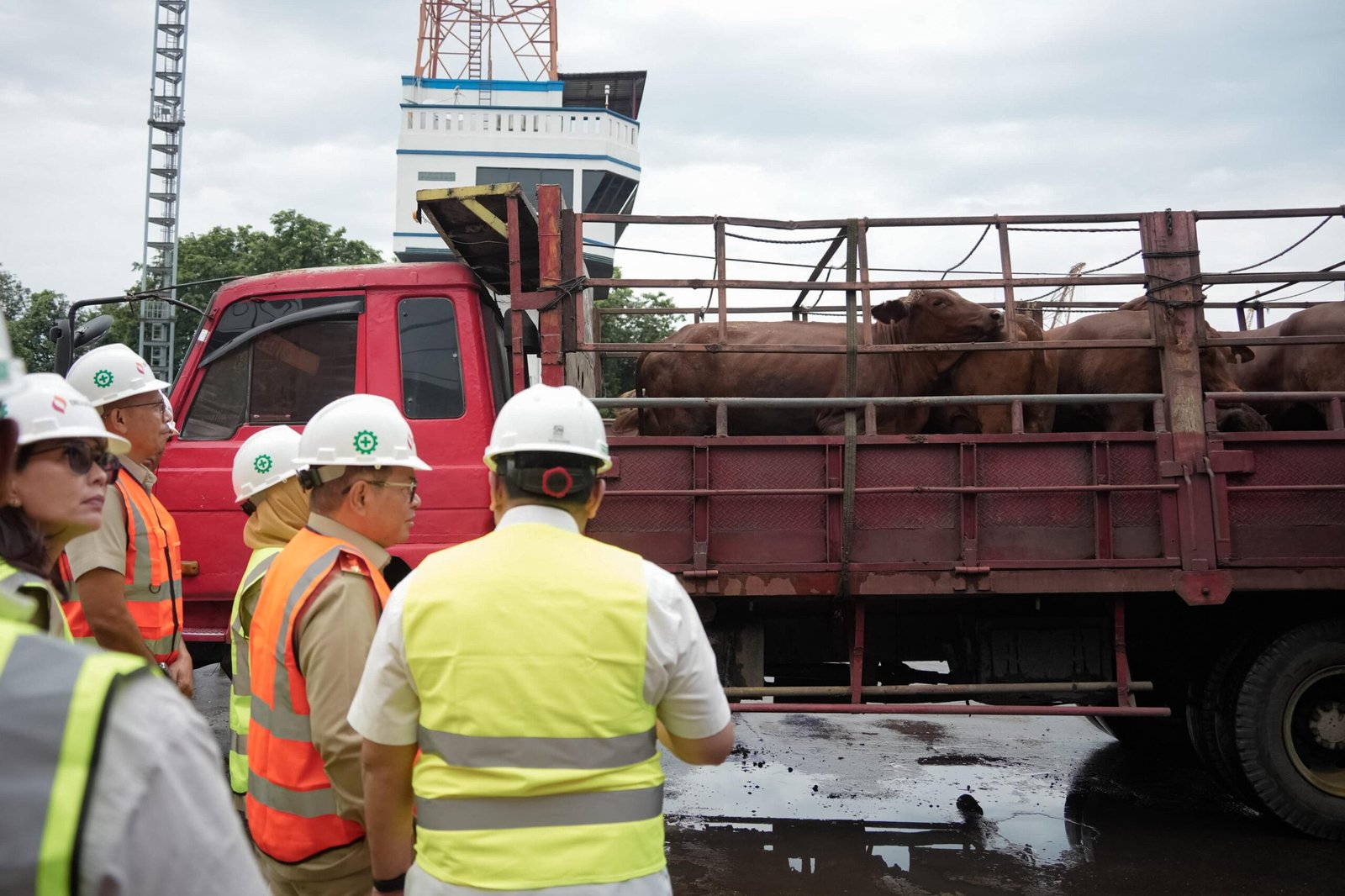 Gubernur DKI Jakarta, Pramono Anung, memastikan stok daging sapi aman dan harga tetap stabil selama Ramadan hingga menjelang Idulfitri.