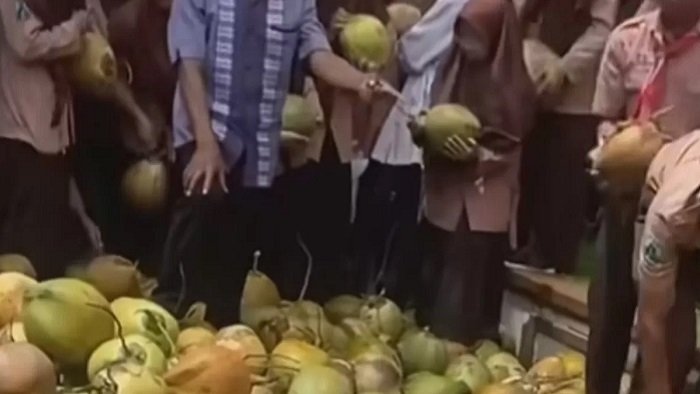 Foto: Viral di media sosial (Medsos) sejumlah siswa menerima kelapa utuh sebagai bagian dari menu program Makan Bergizi Gratis (MBG) di sebuah sekolah di kawasan Gresik, Jawa Timur. (Istimewa)