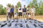 Penanganan kasus kematian anak gajah Sumatera di kawasan Taman Nasional Tesso Nilo (TNTN) terus berkembang.
