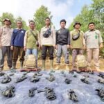 Penanganan kasus kematian anak gajah Sumatera di kawasan Taman Nasional Tesso Nilo (TNTN) terus berkembang.