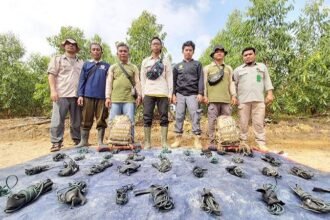 Penanganan kasus kematian anak gajah Sumatera di kawasan Taman Nasional Tesso Nilo (TNTN) terus berkembang.