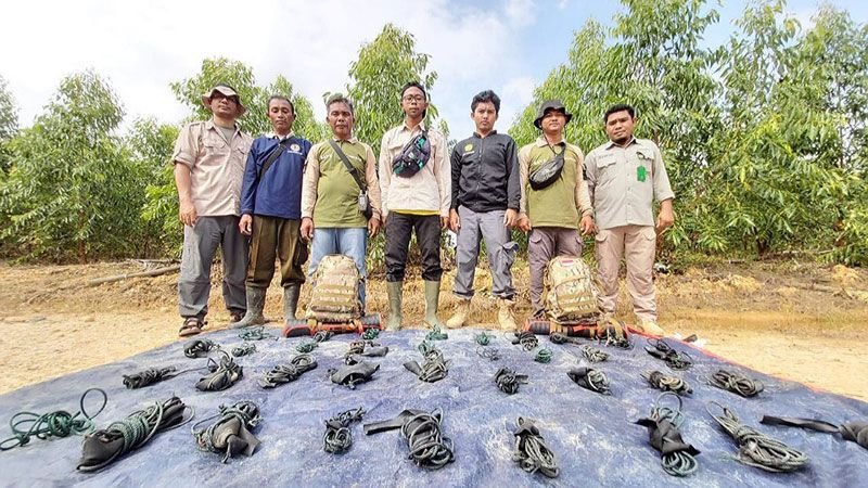 Penanganan kasus kematian anak gajah Sumatera di kawasan Taman Nasional Tesso Nilo (TNTN) terus berkembang.