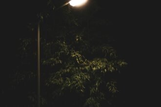 Pengadaan lampu LPJU di OKI disorot karena dugaan pengarahan penyedia dan selisih harga dengan Katalog Elektronik. Dishub OKI diminta memberi klarifikasi.