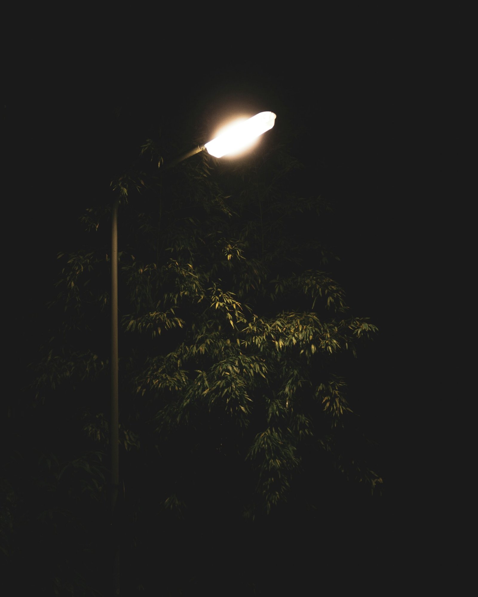 Pengadaan lampu LPJU di OKI disorot karena dugaan pengarahan penyedia dan selisih harga dengan Katalog Elektronik. Dishub OKI diminta memberi klarifikasi.